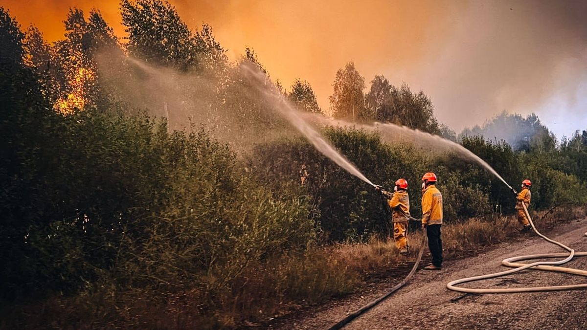 У Чорнобильській зоні сталася пожежа: який рівень радіації