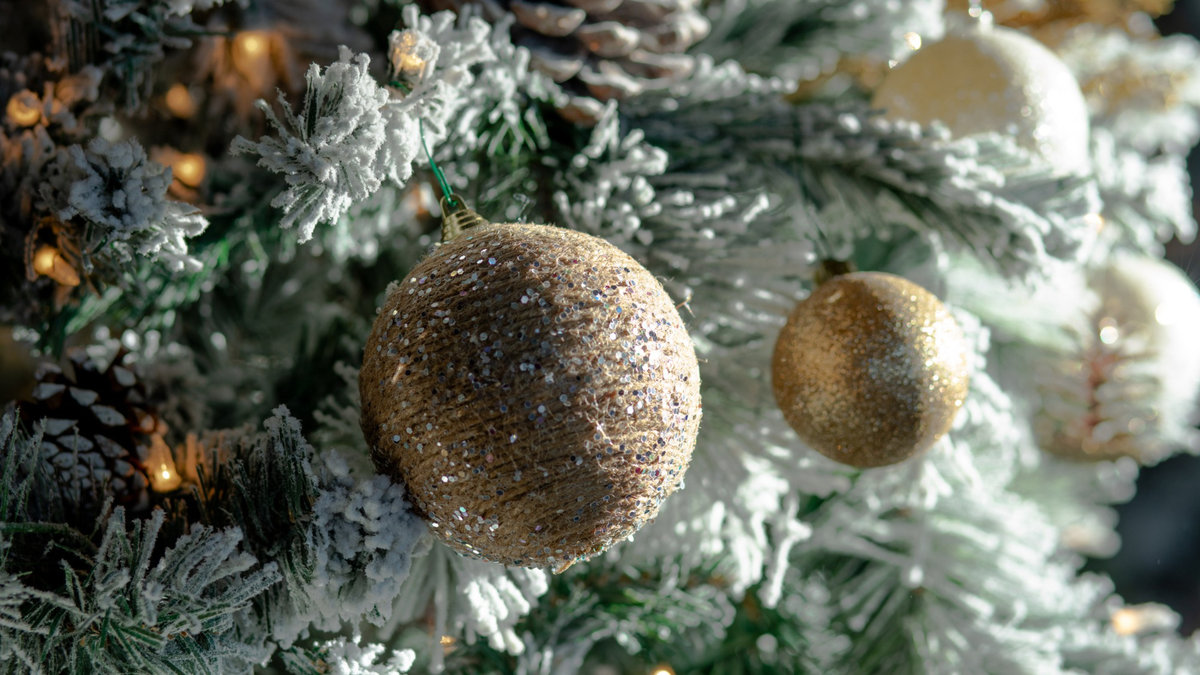 Коли встановлять головну новорічну ялинку країни: названо дату