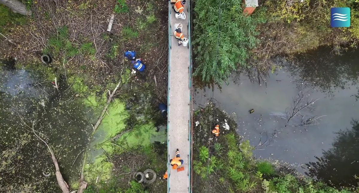 У Києві очистили озеро Зариваха, а незаконну дамбу демонтували