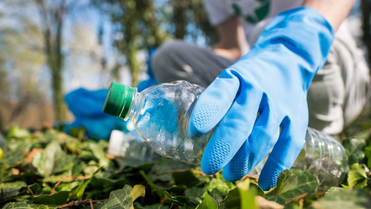 Київ долучиться до Всесвітнього дня прибирання World Cleanup Day: як взяти участь