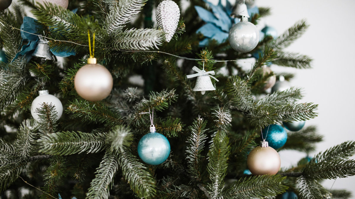 Головну ялинку країни зможуть прикрасити всі охочі: відео