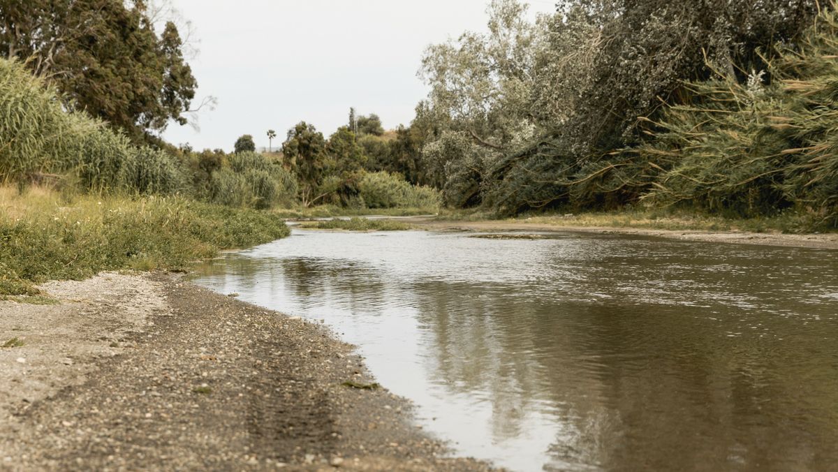 У Київській області пересихають річки: у чому причина