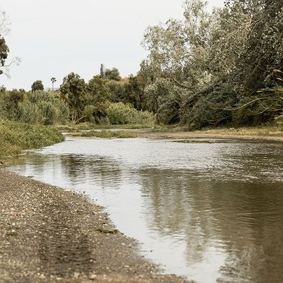 У Київській області пересихають річки: у чому причина - 412x412