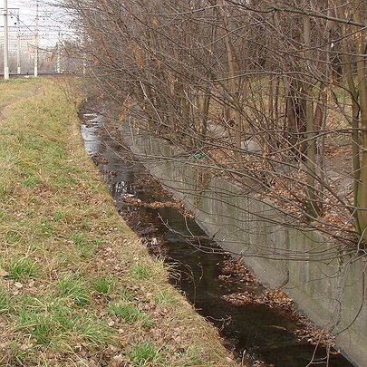 У Києві влаштують прибирання струмка, що живить річку Либідь - 412x412