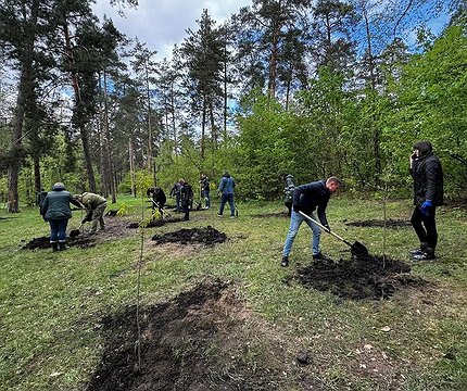 У парку Партизанської слави висадили 50 дубів Шевченка - 412x412