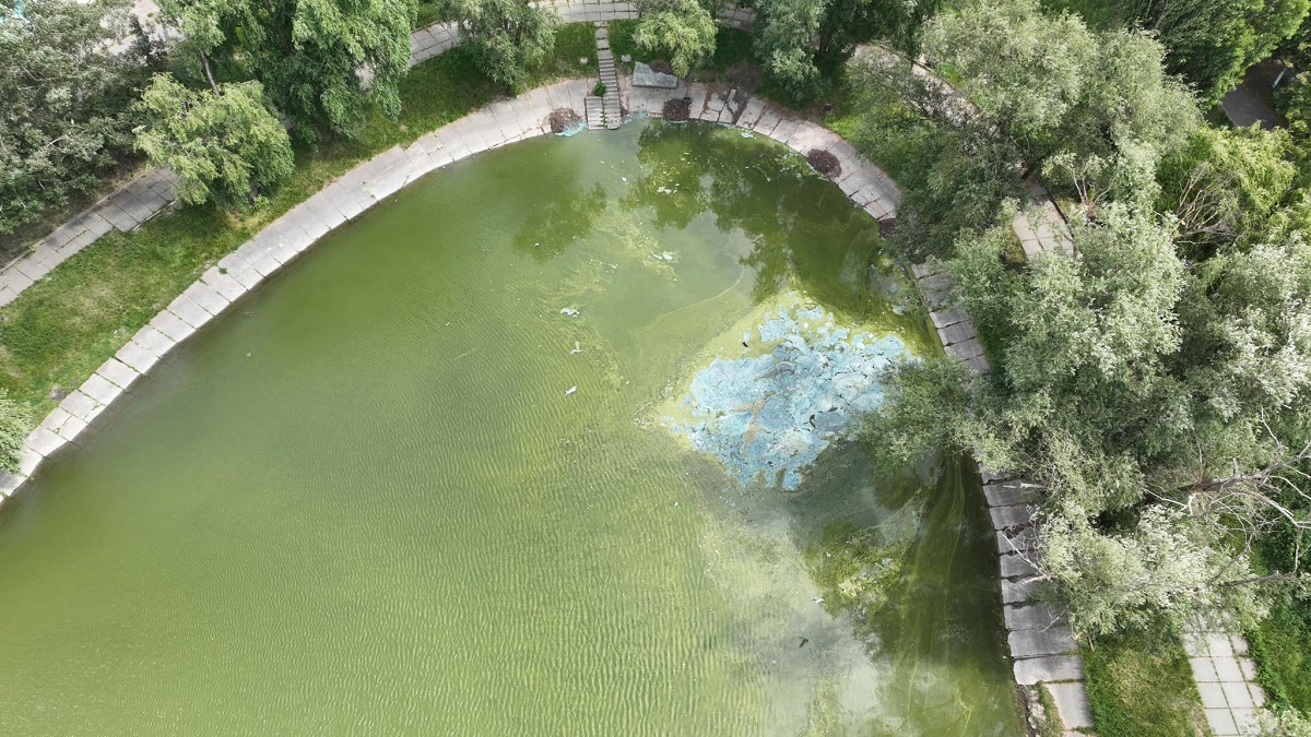 Озеро "Віра" у Святошинському районі очистять машиною-амфібією