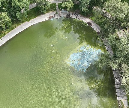 Озеро "Віра" у Святошинському районі очистять машиною-амфібією - 412x412