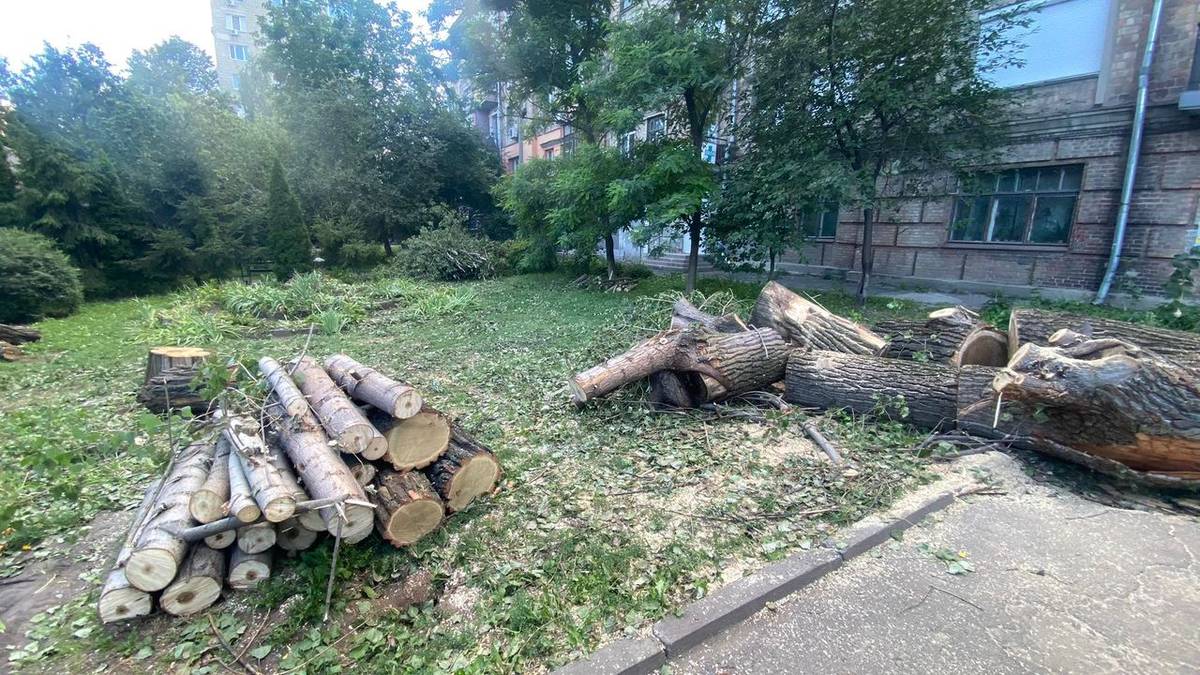 На Лук'янівці священник московського патріархату незаконно знищив 40 дерев