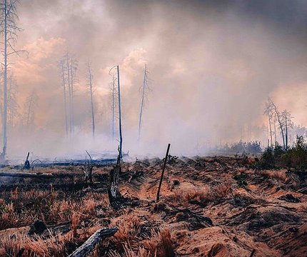 У двох районах Київщини також погіршився стан повітря через пожежі - 412x412