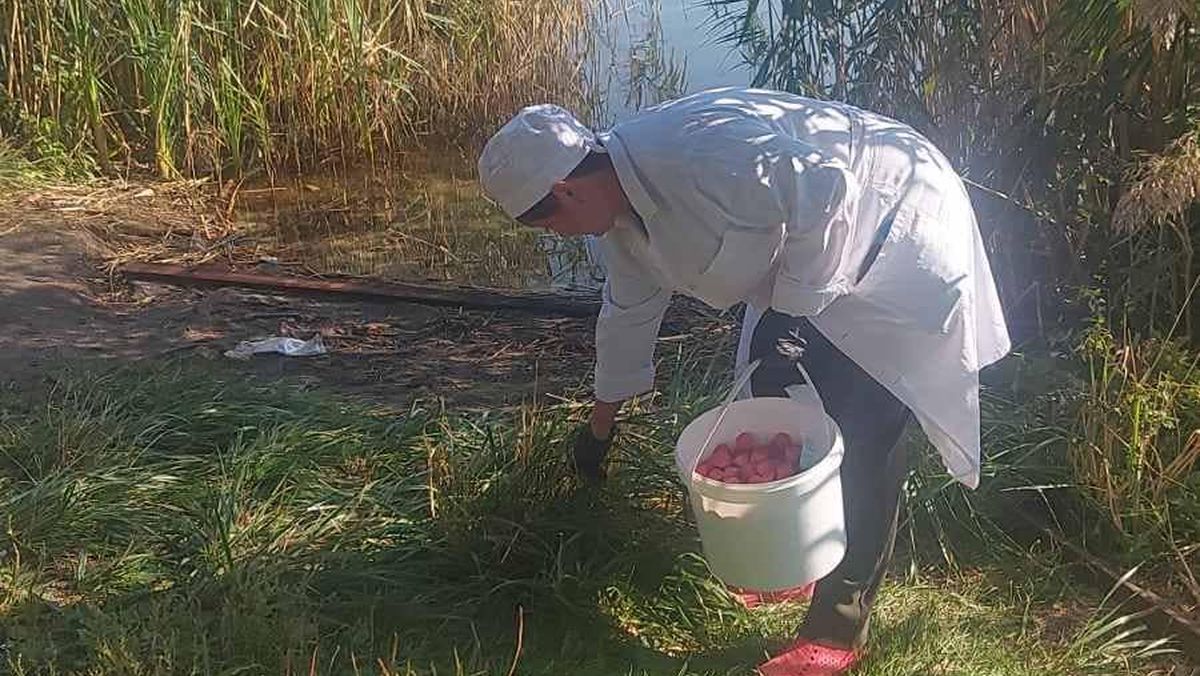 Біля столичних водойм почали труїти щурів