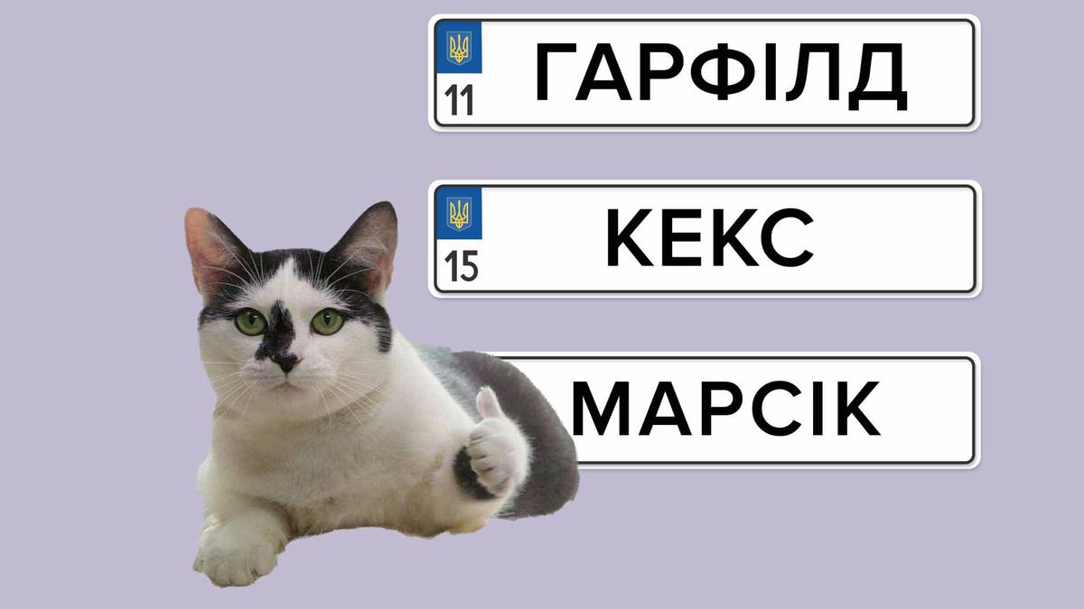 Індивідуальні номери знову можна замовити у сервісних центрах МВС: скільки це коштує