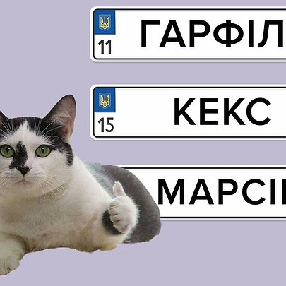 Індивідуальні номери знову можна замовити у сервісних центрах МВС: скільки це коштує - 412x412