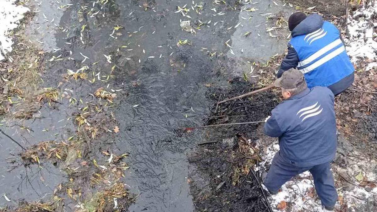 Комунальники показали, як очистили озеро Зариваха: вивезли 150 кубометрів сміття