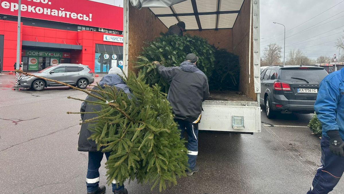 У Києві демонтували майже 30 незаконних ялинкових ярмарків: фото