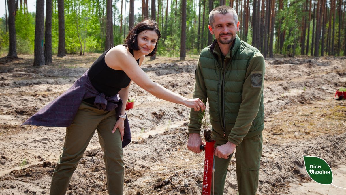 На Київщині висадили ліс пам'яті