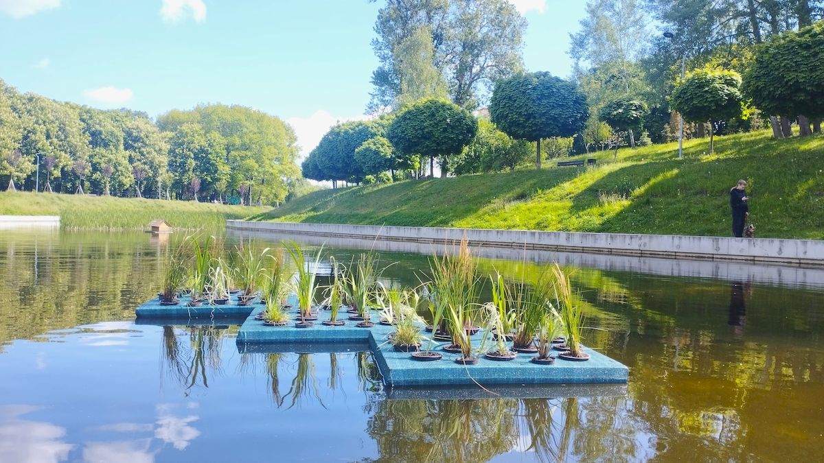 На водоймах Києва почали облаштовувати експериментальні плавучі острови: що це таке та де вони вже є