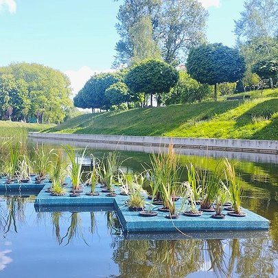 На водоймах Києва почали облаштовувати експериментальні плавучі острови: що це таке та де вони вже є - 412x412