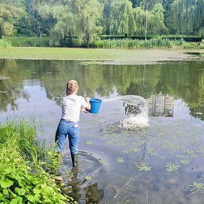 У Голосіївському парку покращують стан Оріхуватськів ставків за допомогою спеціального біопрепарату - 412x412