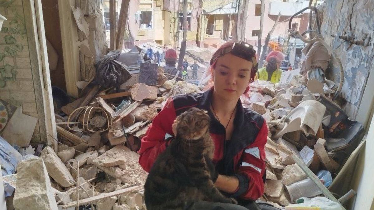 З-під завалів зруйнованого київського будинку врятували кота, який провів там 10 годин