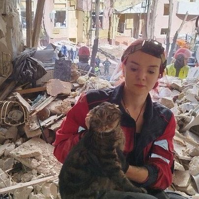 З-під завалів зруйнованого київського будинку врятували кота, який провів там 10 годин - 412x412