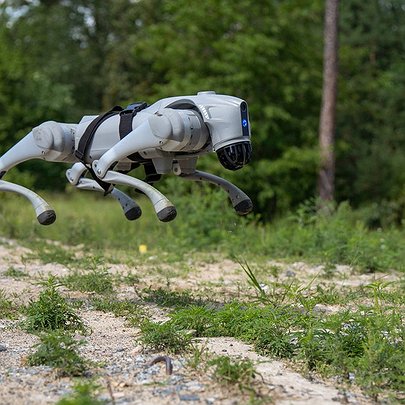 Собака-робот допомагає саперам розміновувати Київщину: фото - 412x412