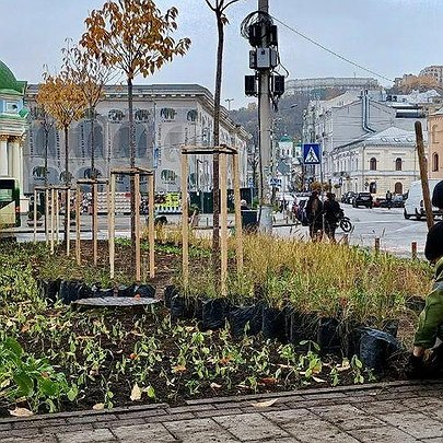 На Контрактовій площі оновили сквер: фото - 412x412
