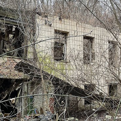 Руїни музею художника Григорія Світлицького на Воздвиженці законсервують і створять там культурний простір - 412x412