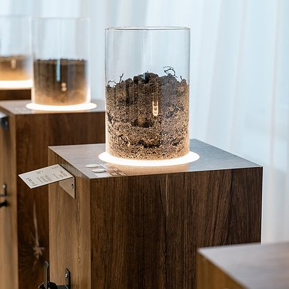 У Театрі Франка відкрили простір, де земля "говорить" голосами людей, яких змінила війна: фото - 412x412