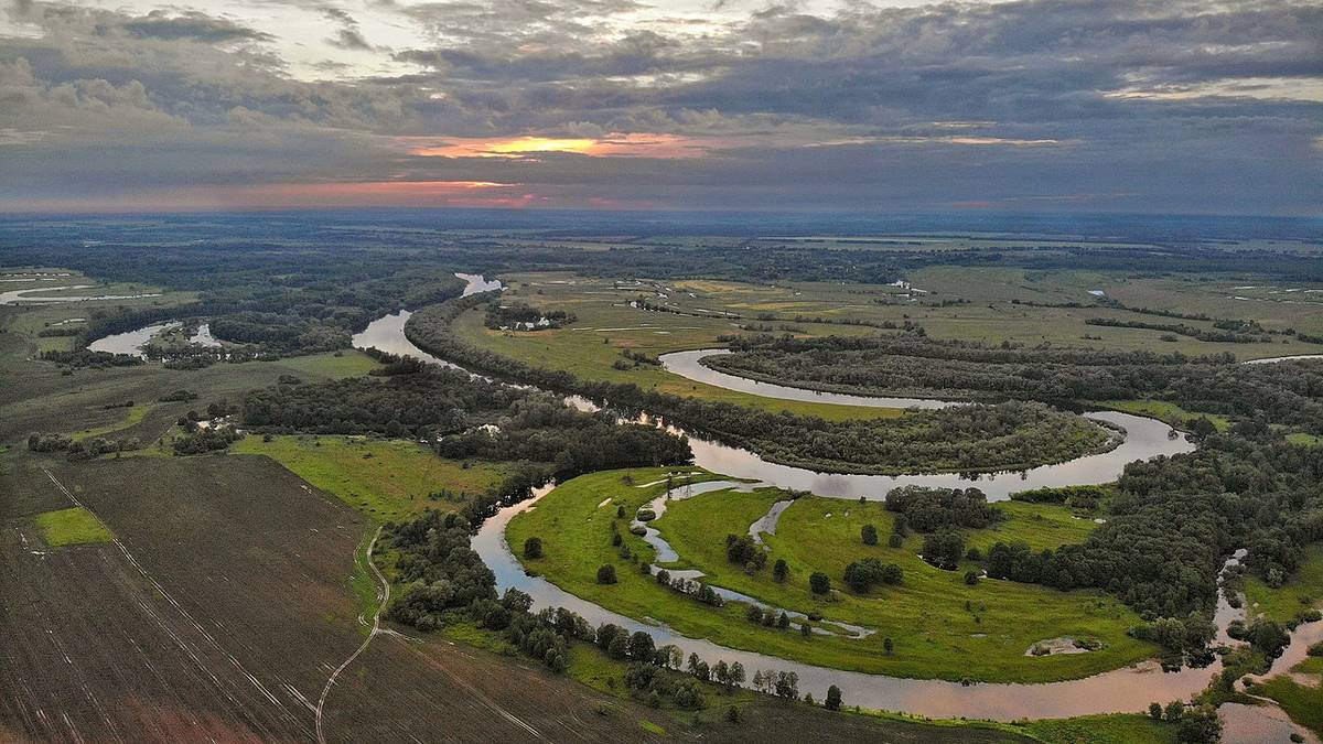 Забруднення річки Десна: чи є зараз загроза для Києва