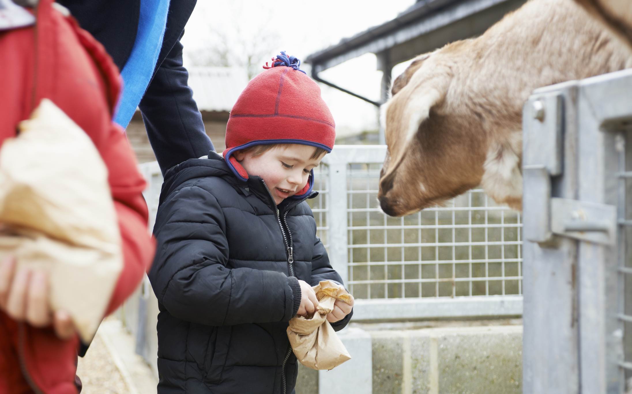 Гід контактними зоопарками Києва, які варто відвідати з дітьми