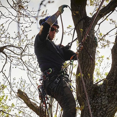 Лікар дерев, "будильниця" метро й інші незвичайні професії у Києві - 412x412