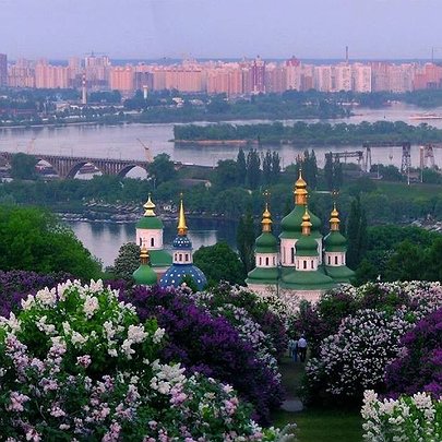 Ділянку в ботсаду Гришка віддали під забудову, попри заборону - 412x412