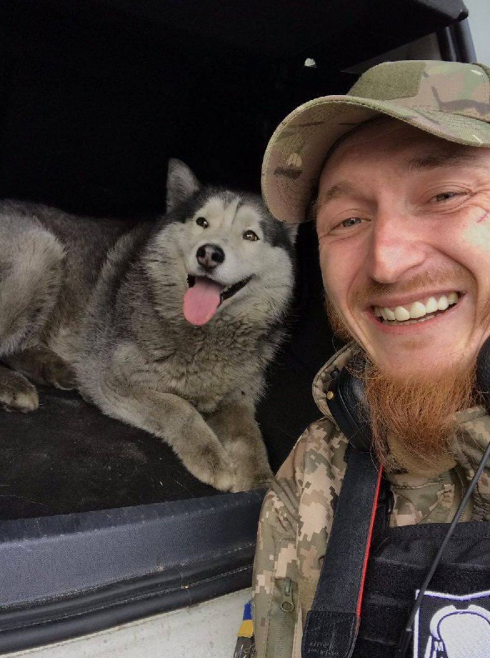 Собака з Бучі, яка спала на склі машини