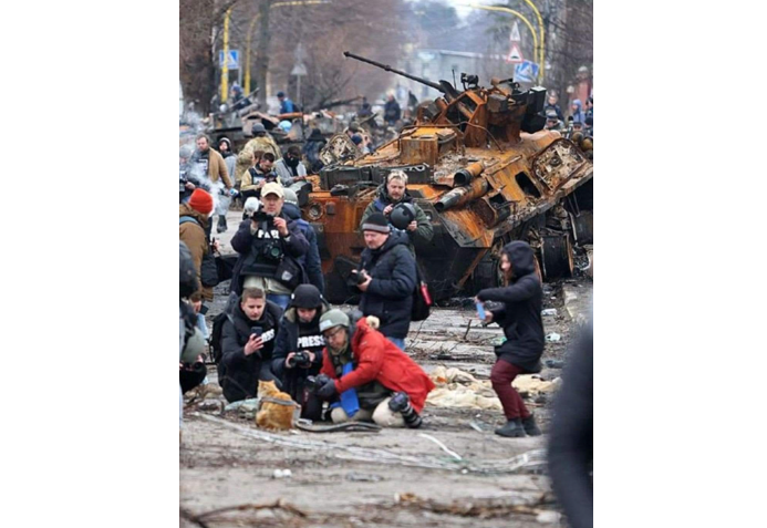 Рудий кіт з репортерами