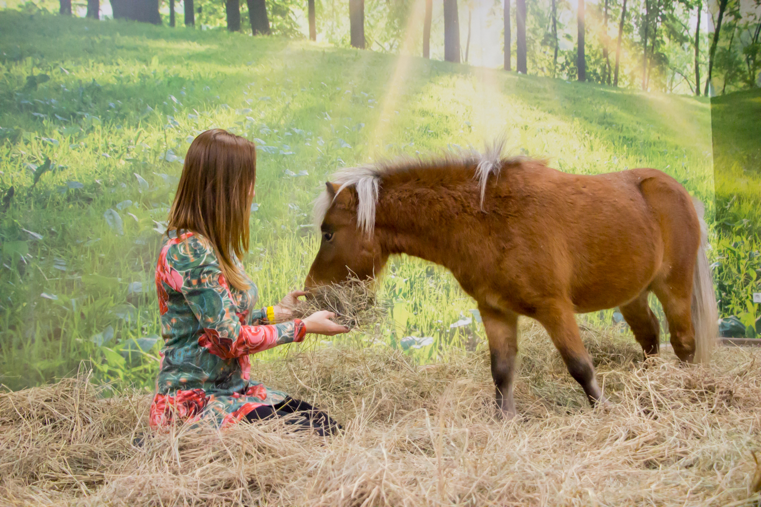 Контактний зоопарк “Країна Єнотія”