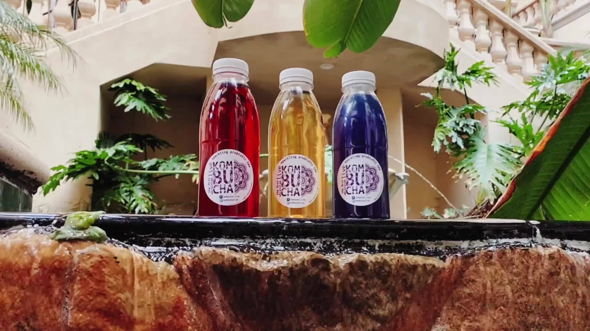 комбуча в Києві, Kombucha Live купить