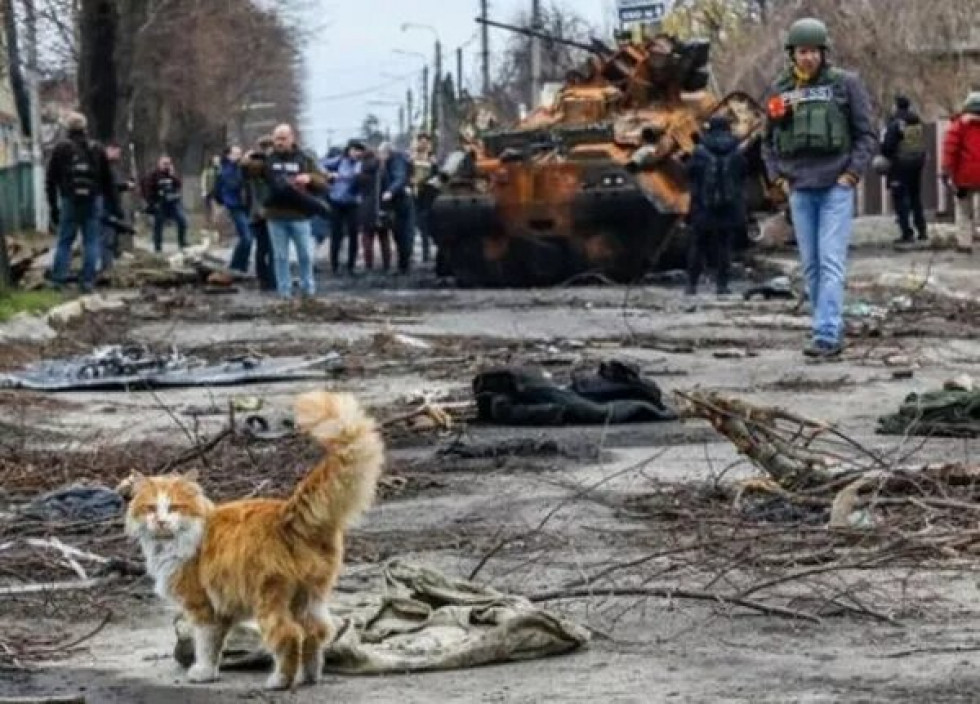 Фото: t.me/kyivvillage