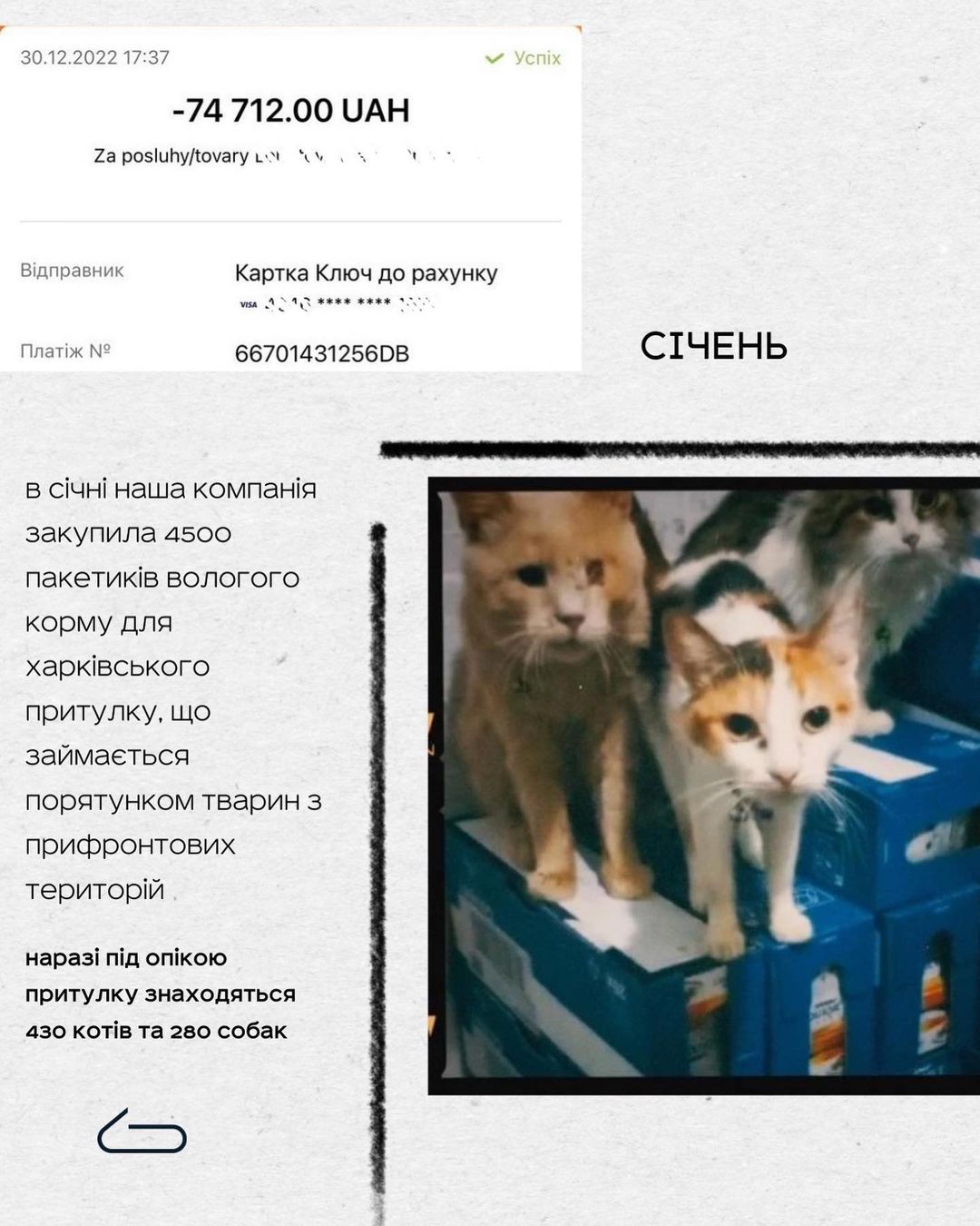 Бездомні тварини в Україні