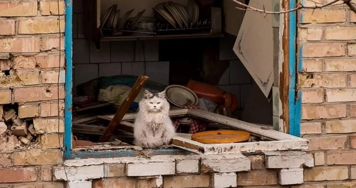 Фото: Костянтин Сова