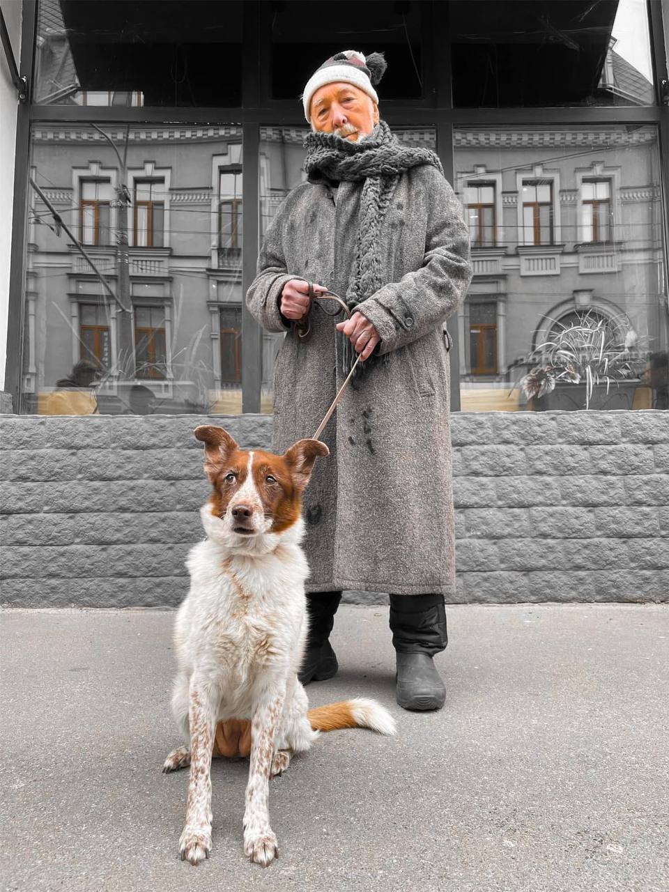 Український серіал