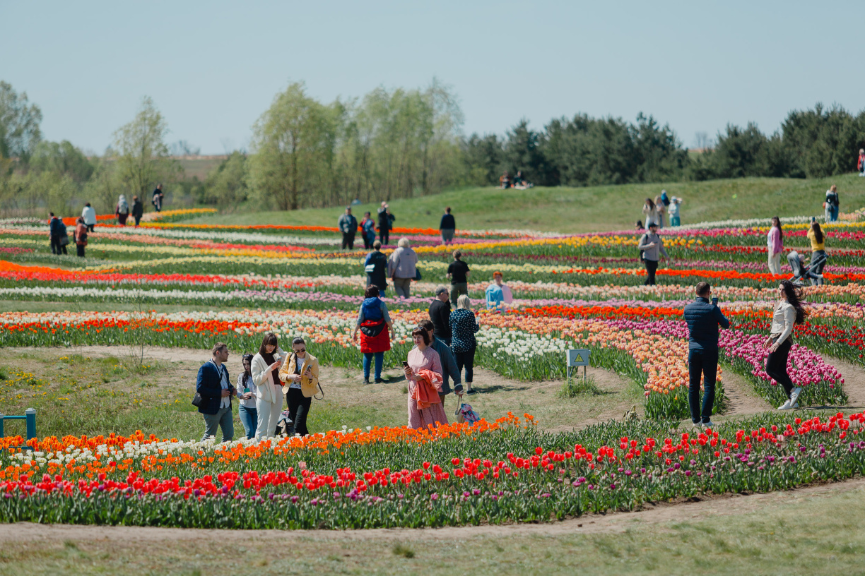 Добропарк