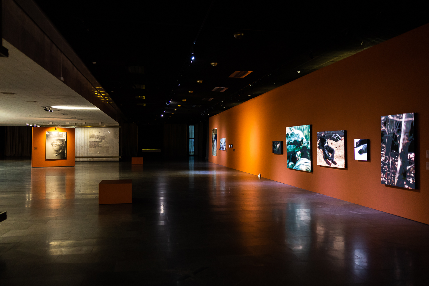 Виставка "Ти як?"