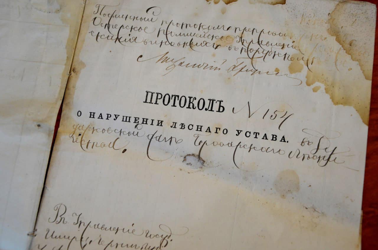 Фото: Олексій Король