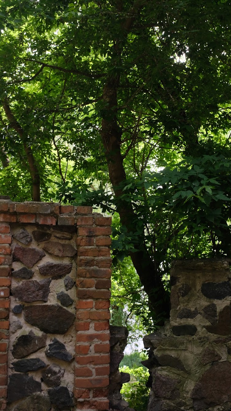 На Київщині відродять парк із пам’яткою Київської Русі