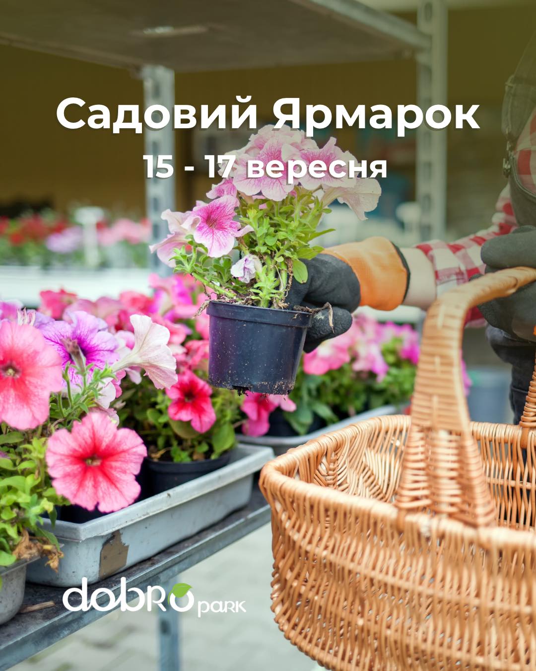 Добропарк