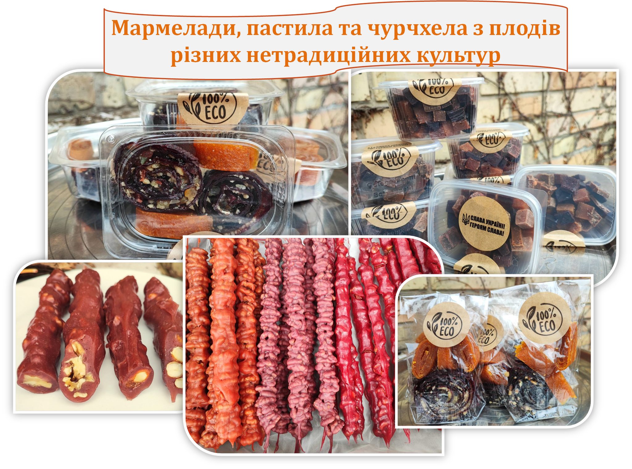 У ботсаду Гришка влаштують осінній вернісаж: киян чекають рослини, дегустації та ярмарок