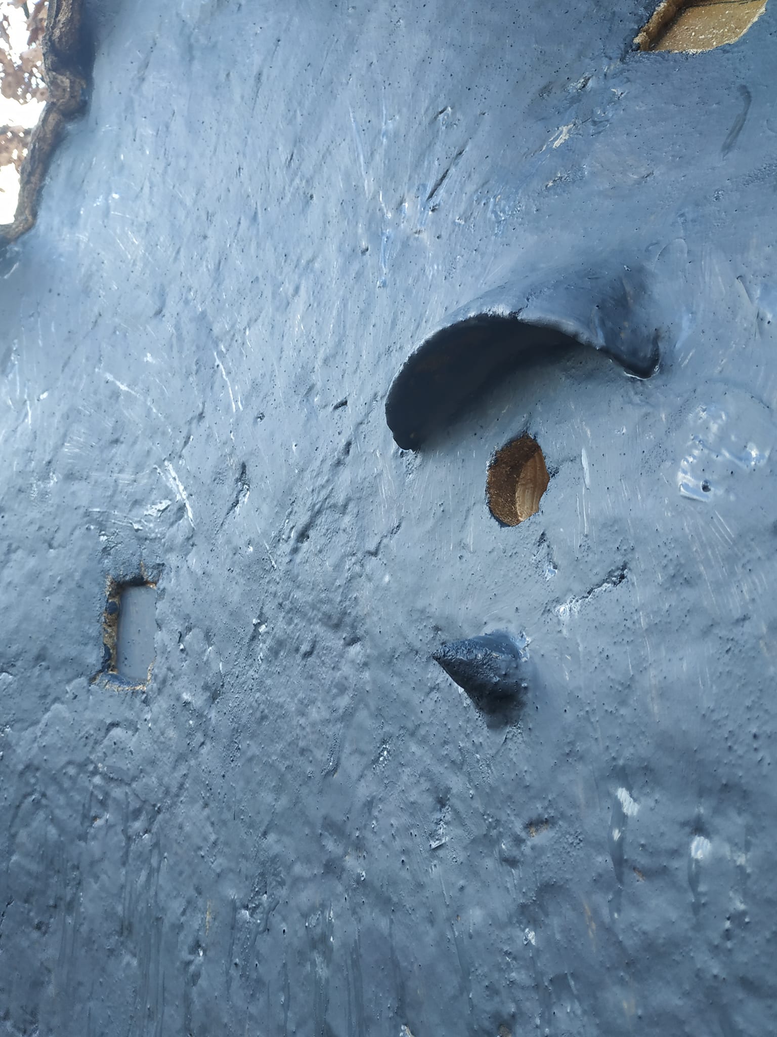 На Київщині врятували 260-річний дуб