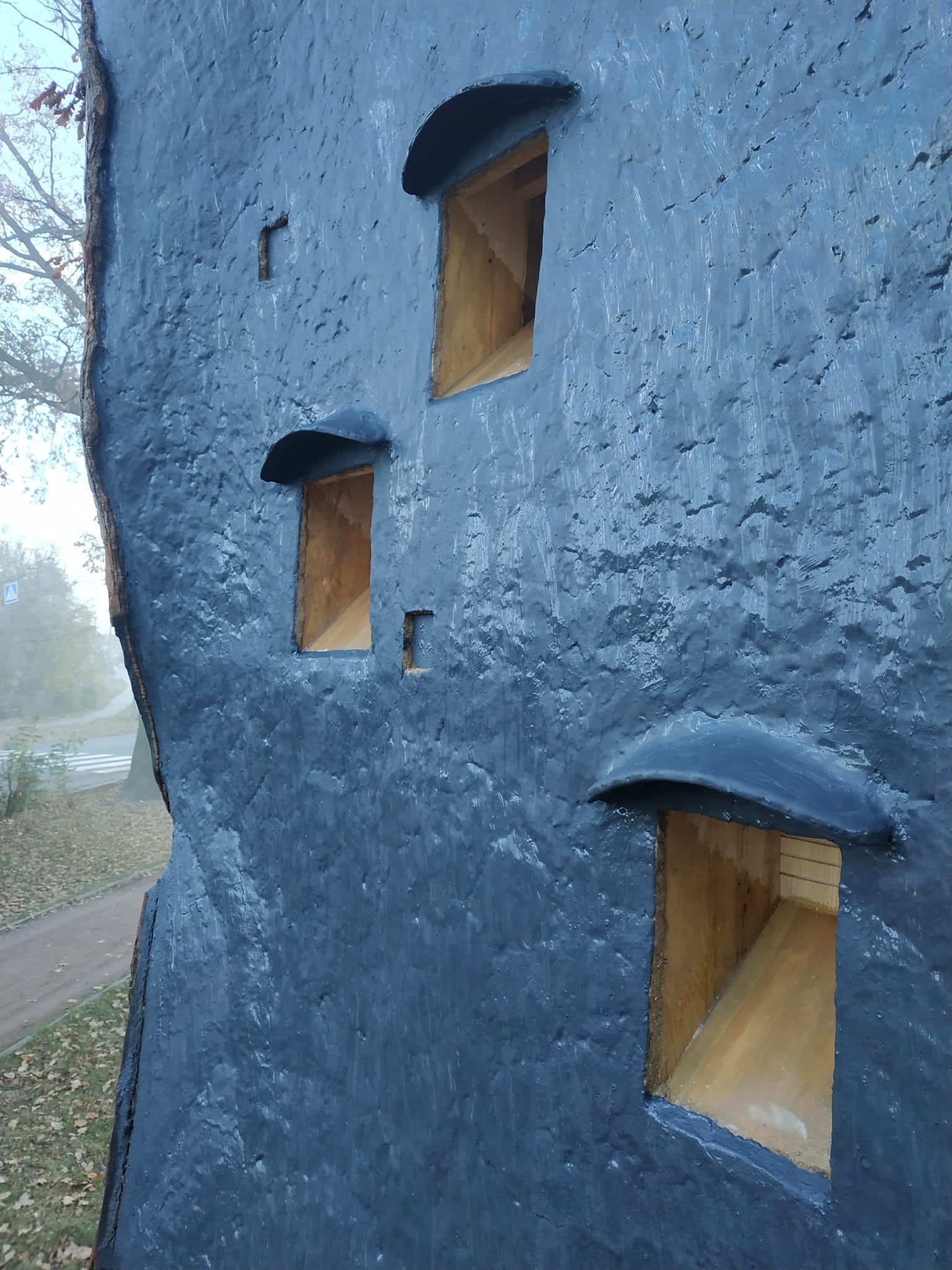 На Київщині врятували 260-річний дуб