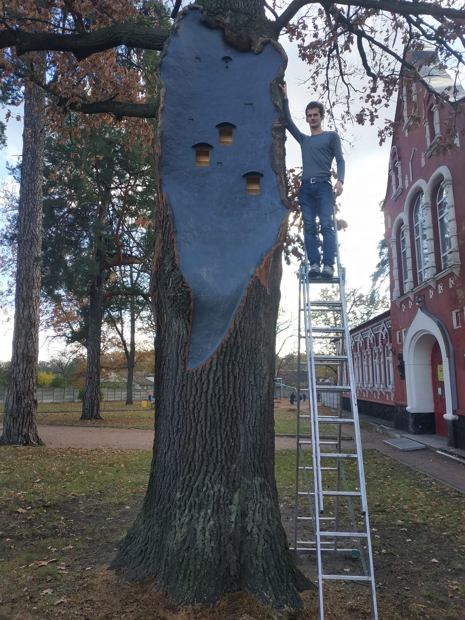 На Київщині врятували 260-річний дуб