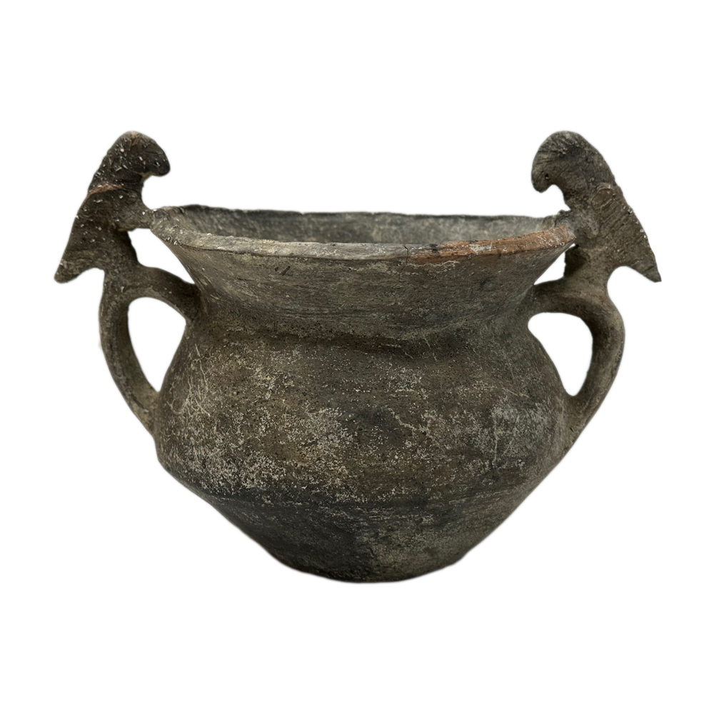 В Україну повернулось 